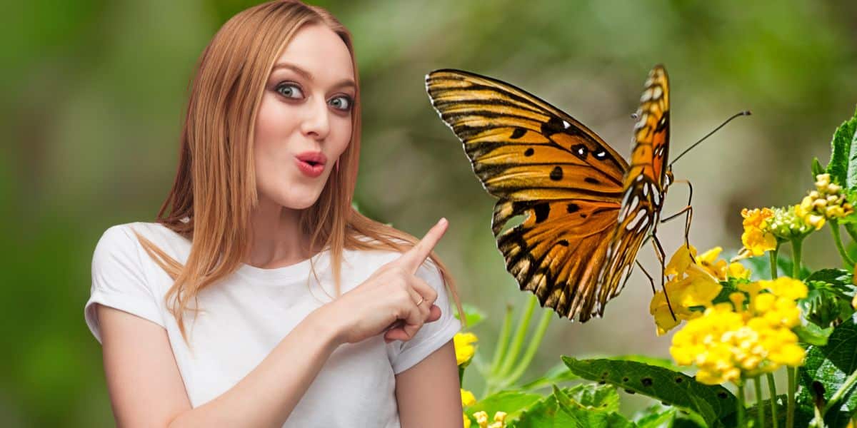 These garden plants attract butterflies like magic— bet you didn’t know them all!
